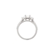 Bild von 0.75 Gesamtkarat 3-Stein-Verlobungsring mit Princessdiamant